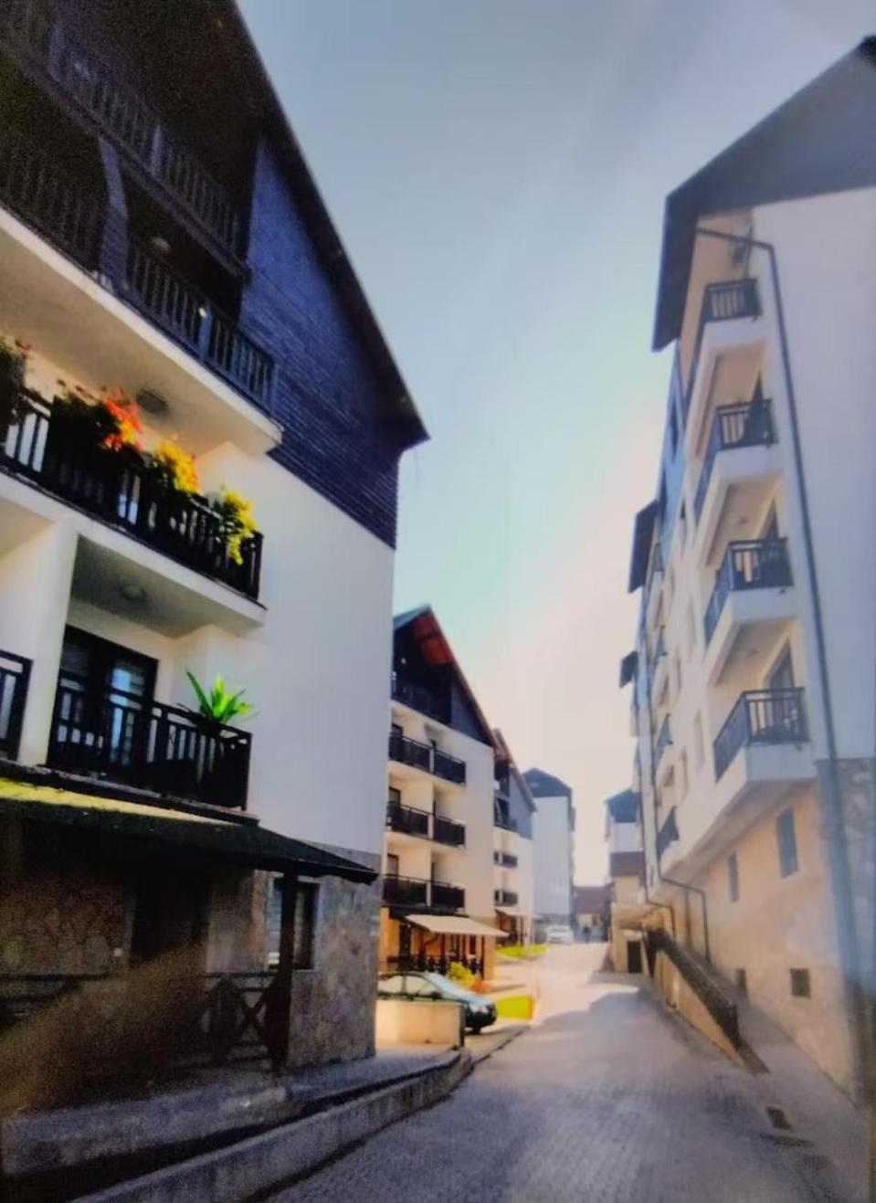 Beli Apartman U Zlatiborskim Konacima Bele Vode Bb Zewnętrze zdjęcie